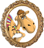 Верблюд Дромадер